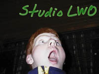 Studio LWO, Ditt b�sta val (om du inte har n�got annat att v�lja p�)